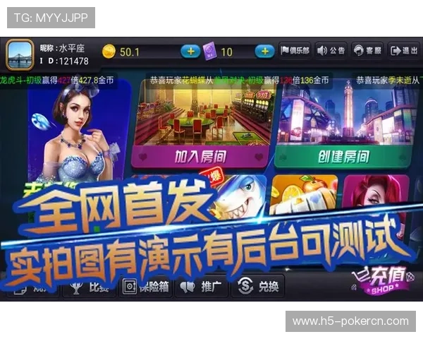三公棋牌游戏大全多样玩法介绍，满足不同玩家的娱乐需求与挑战欲望